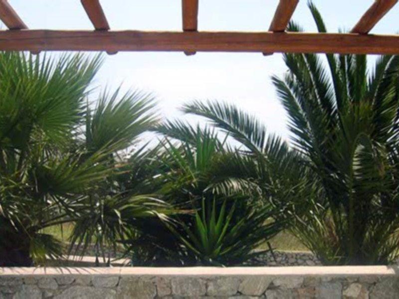 Giannoulaki Hotel Mykonos Town Zewnętrze zdjęcie